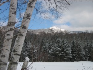 Recreation Town Of Worcester Vermont
