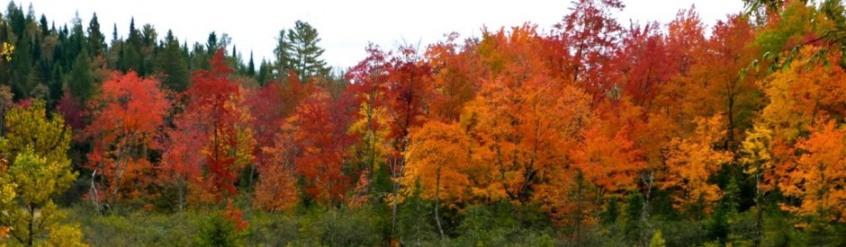 Town of Worcester, Vermont