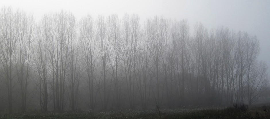 Town of Worcester, Vermont